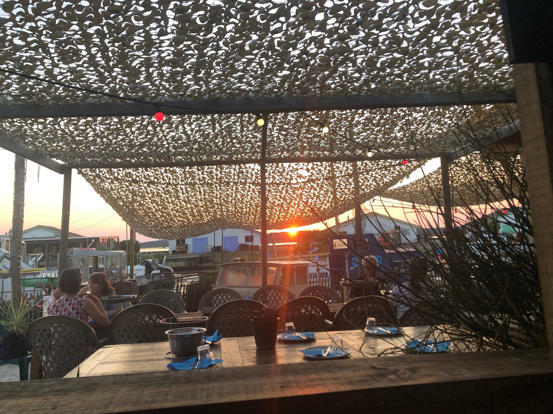 La Cabane 49 Le Jardin des Hippocampes Direct Producteur