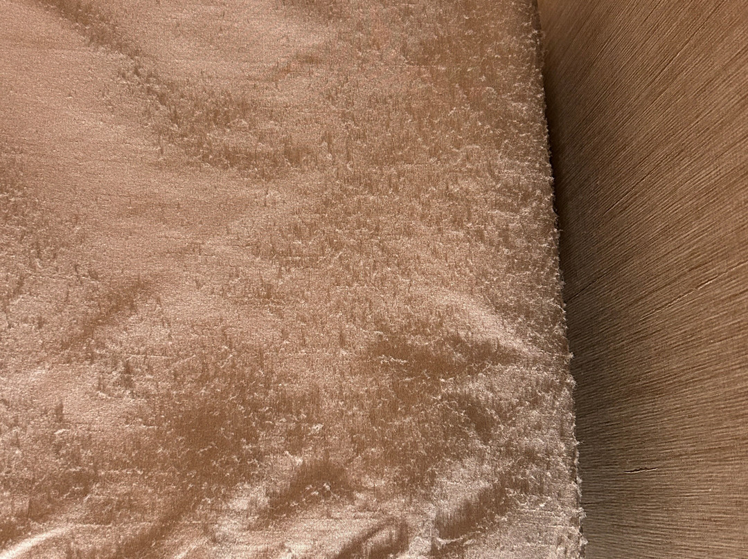 Homewood Suites by Hilton Mobile Airport-University Area主图