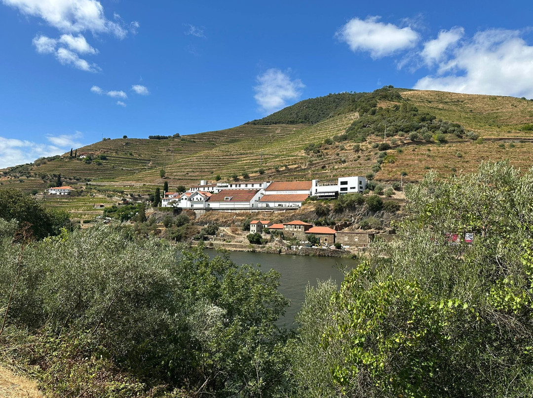 Jorge Miguel Matias - Wine & Tours-Pinhao必去景点