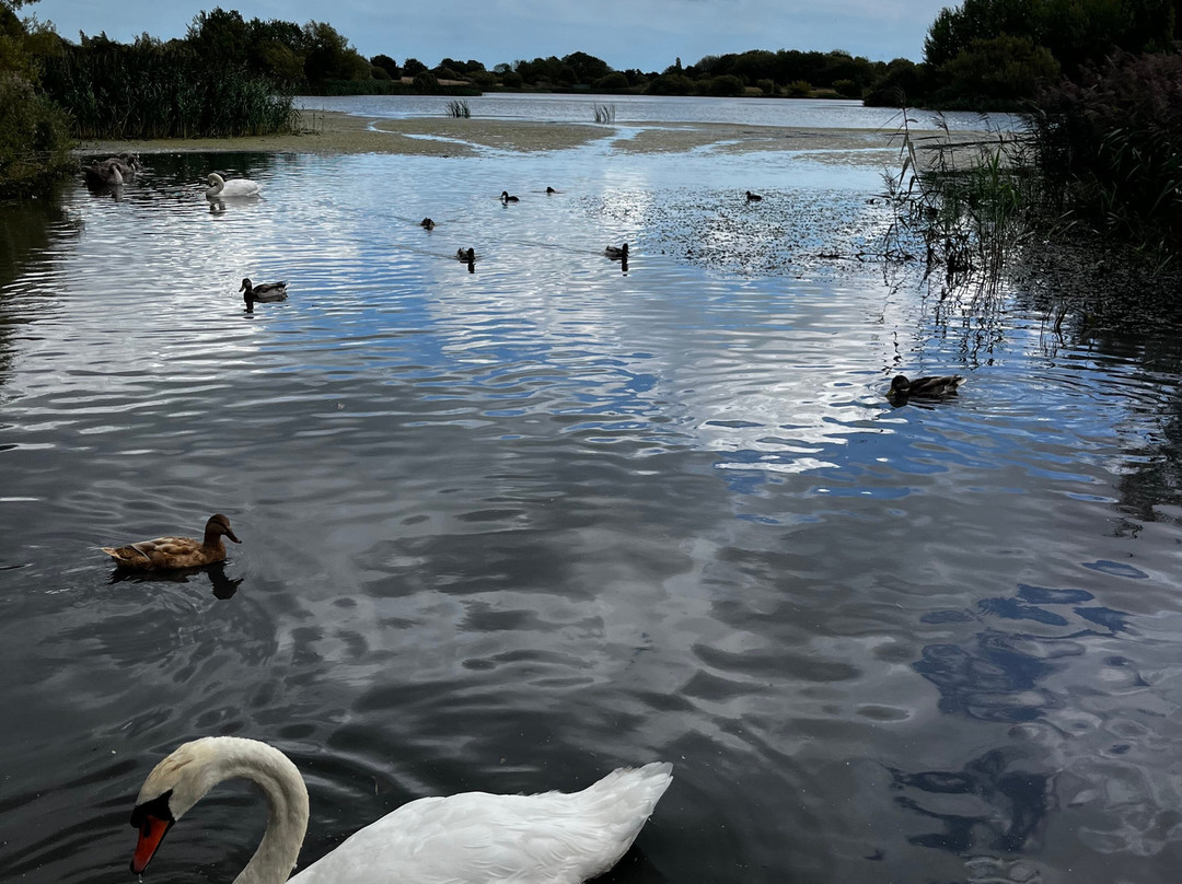Cleethorpes Country Park-克利索普斯必去景点