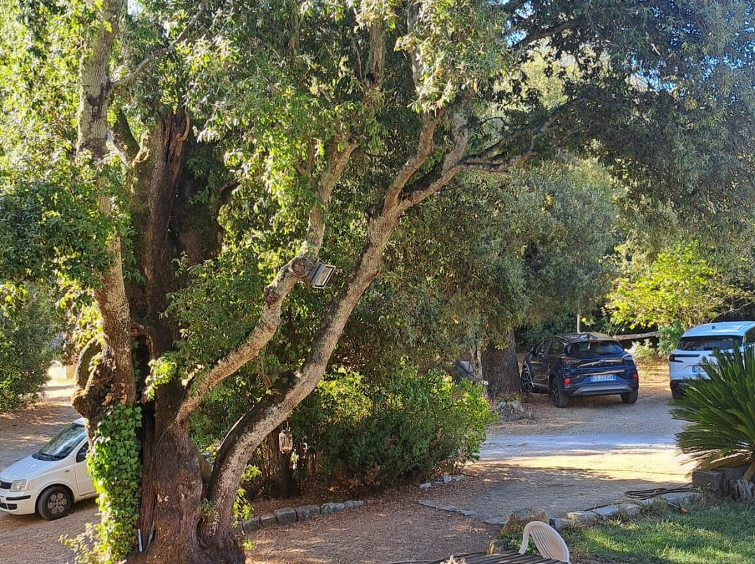 Bed & Breakfast Casa Solotti主图