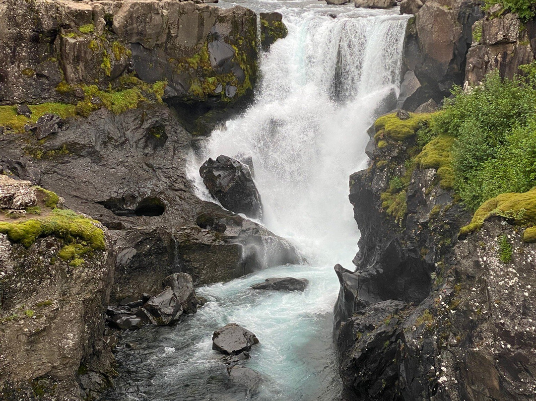 Sveinsstekksfoss-Djupivogur必去景点