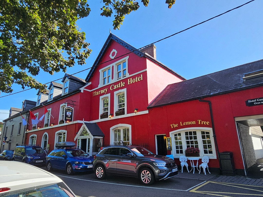 Blarney Castle Hotel主图