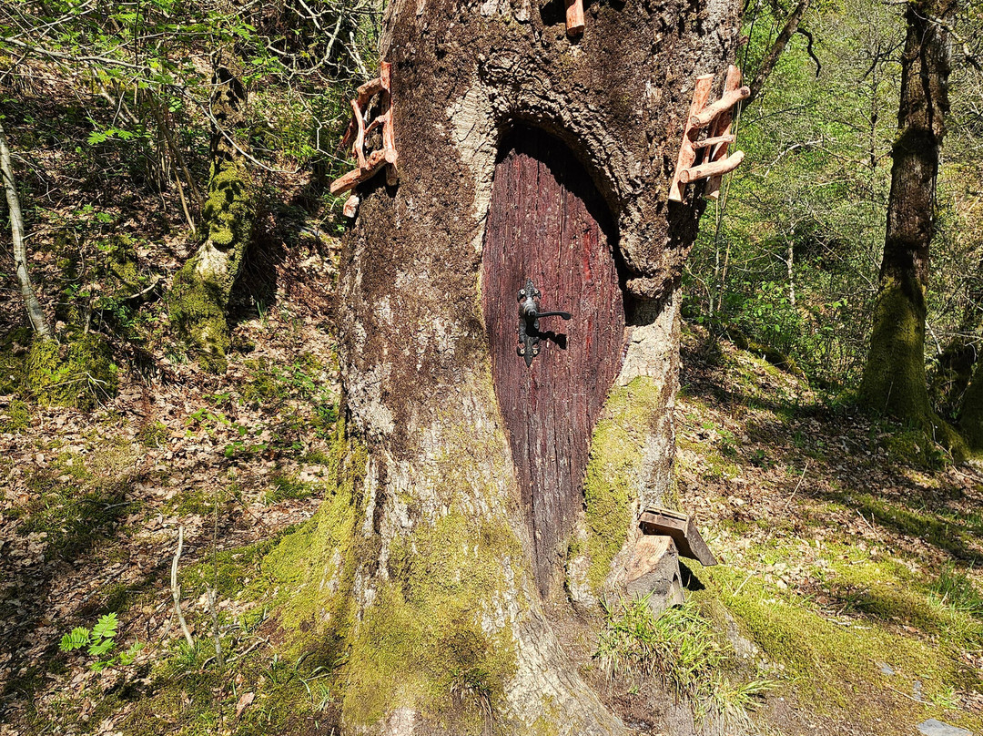 Luss Village Paths-拉斯必去景点