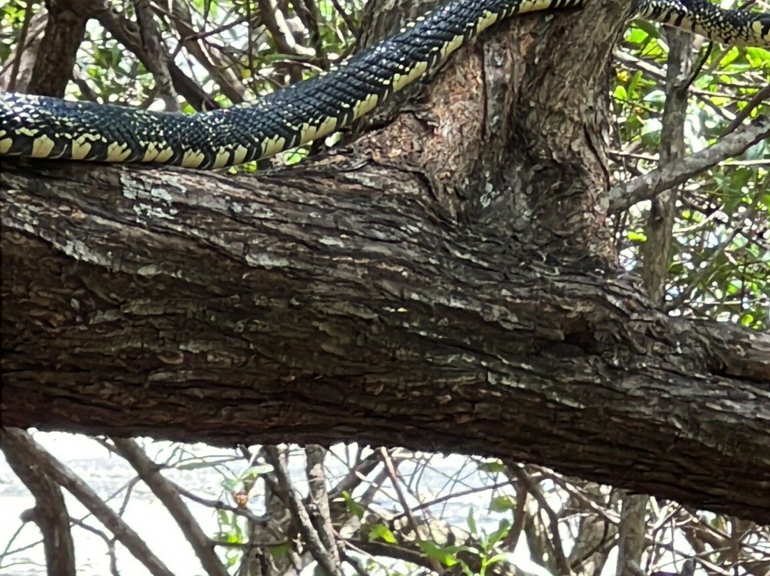 Jack Adventures Costa Rica-Culebra必去景点