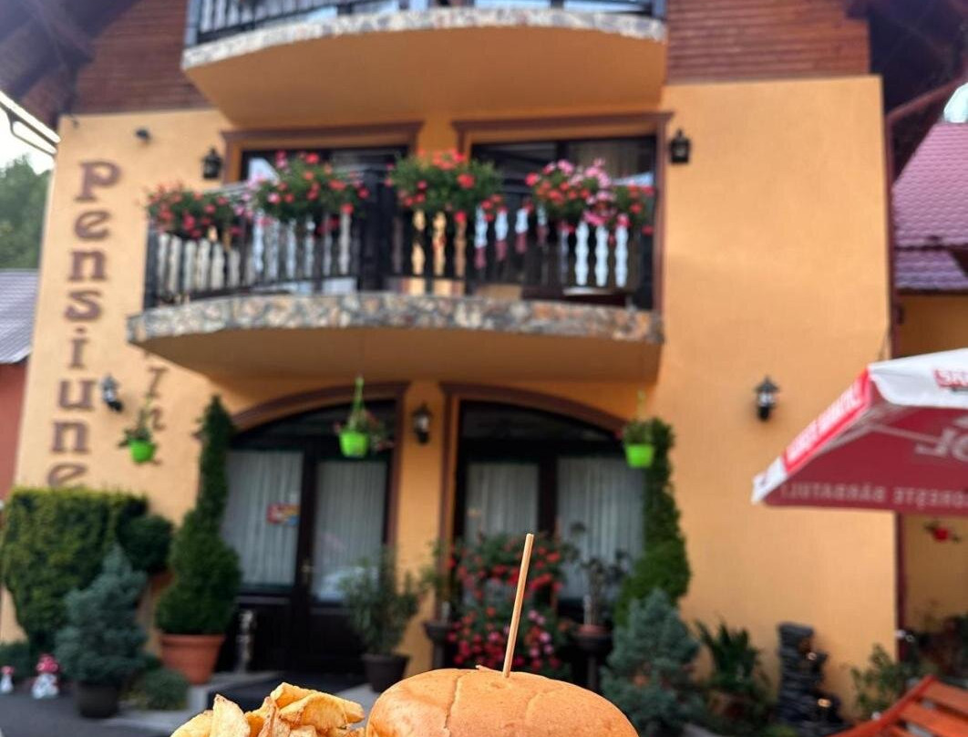 Pensiunea Gianina主图