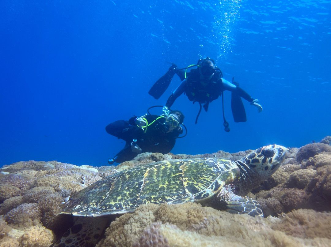 Situju Tuju Cruises-Labuan Bajo必去景点
