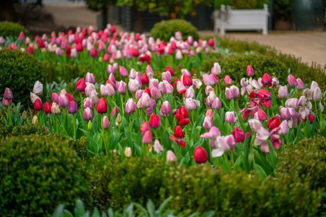 Elizabeth Spencer Winery-拉瑟福德必去景点