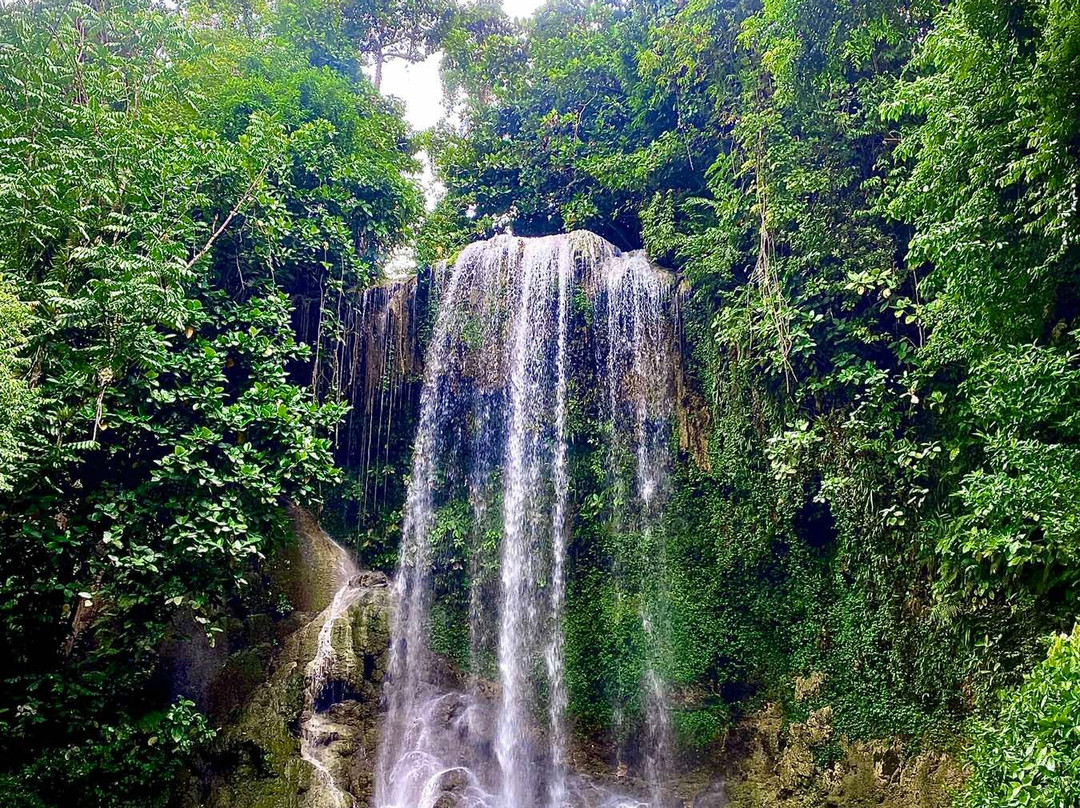 Kawasan Falls Bohol-Balilihan必去景点