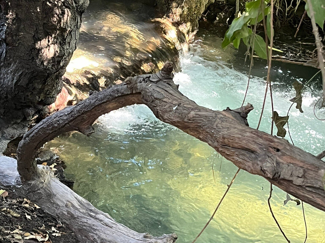 Sendero Rio Majaceite-El Bosque必去景点