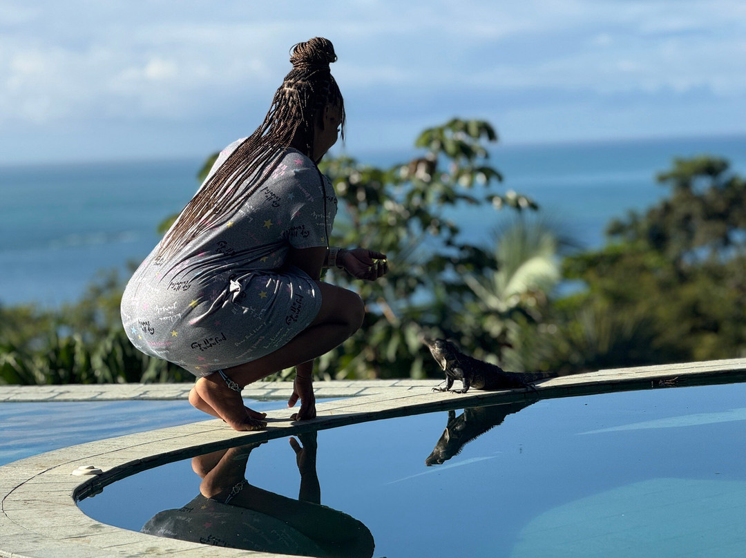 Manuel Antonio Quepos Tours-克波斯必去景点