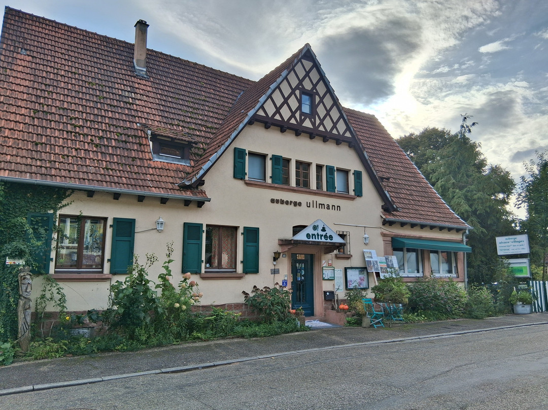 Alsace-Village主图