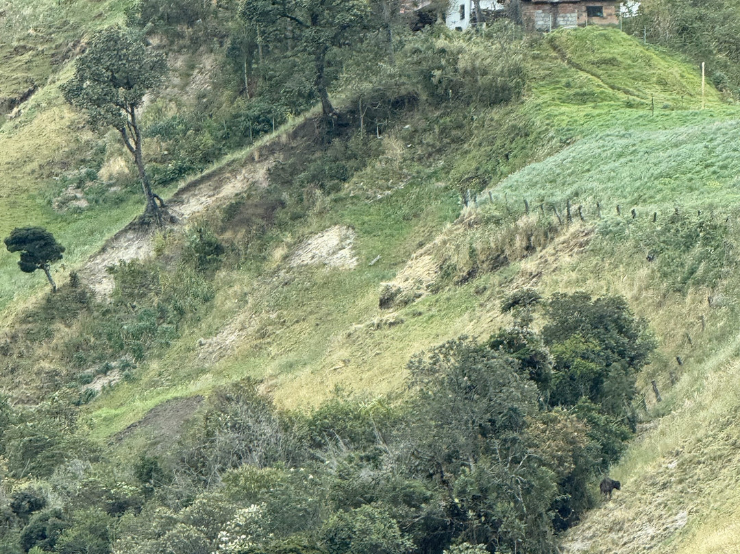 Rebecca Adventure Travel-阿约拉港必去景点