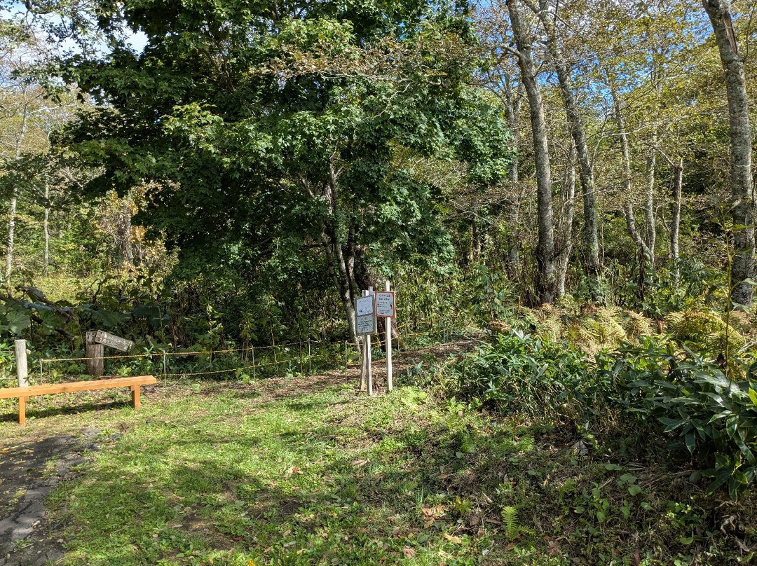 根室市春国岱原生野岛公园-根室市必去景点