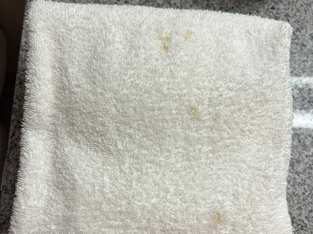 Ramada by Wyndham Lethbridge主图