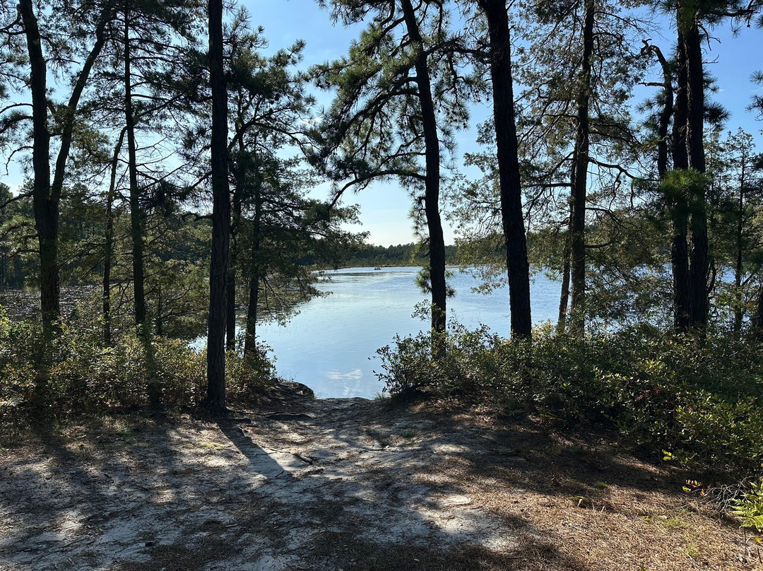 Atsion Lake-Shamong必去景点