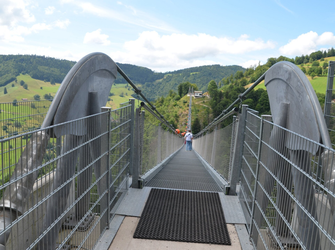 Black Forest Line Todtnau-托特瑙必去景点