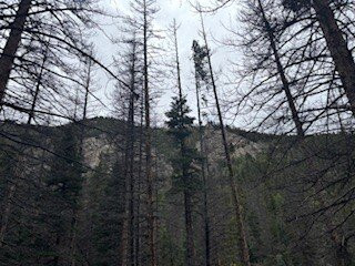 Mt Princeton Hot Springs Stables-Nathrop必去景点