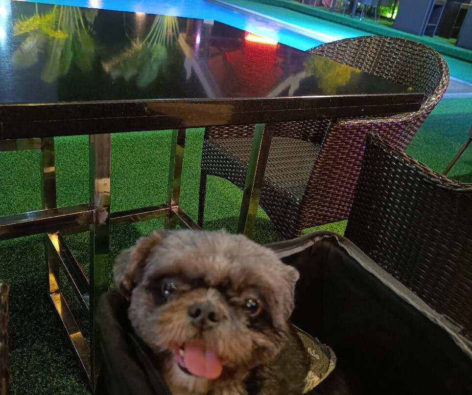 Prime Asia Hotel主图