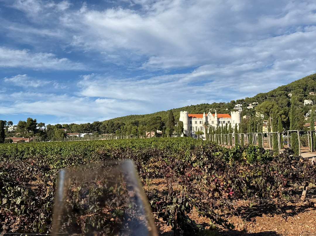 Dégustation Vignes Et Patrimoine-Carqueiranne必去景点