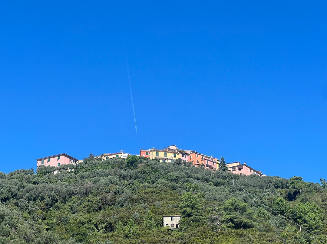 La Marina Rooms主图