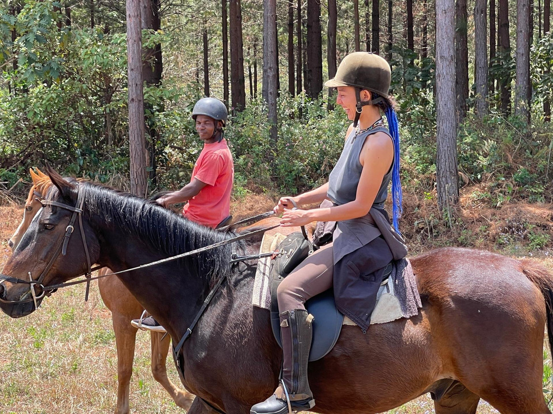 Plateau Stables-桑巴必去景点