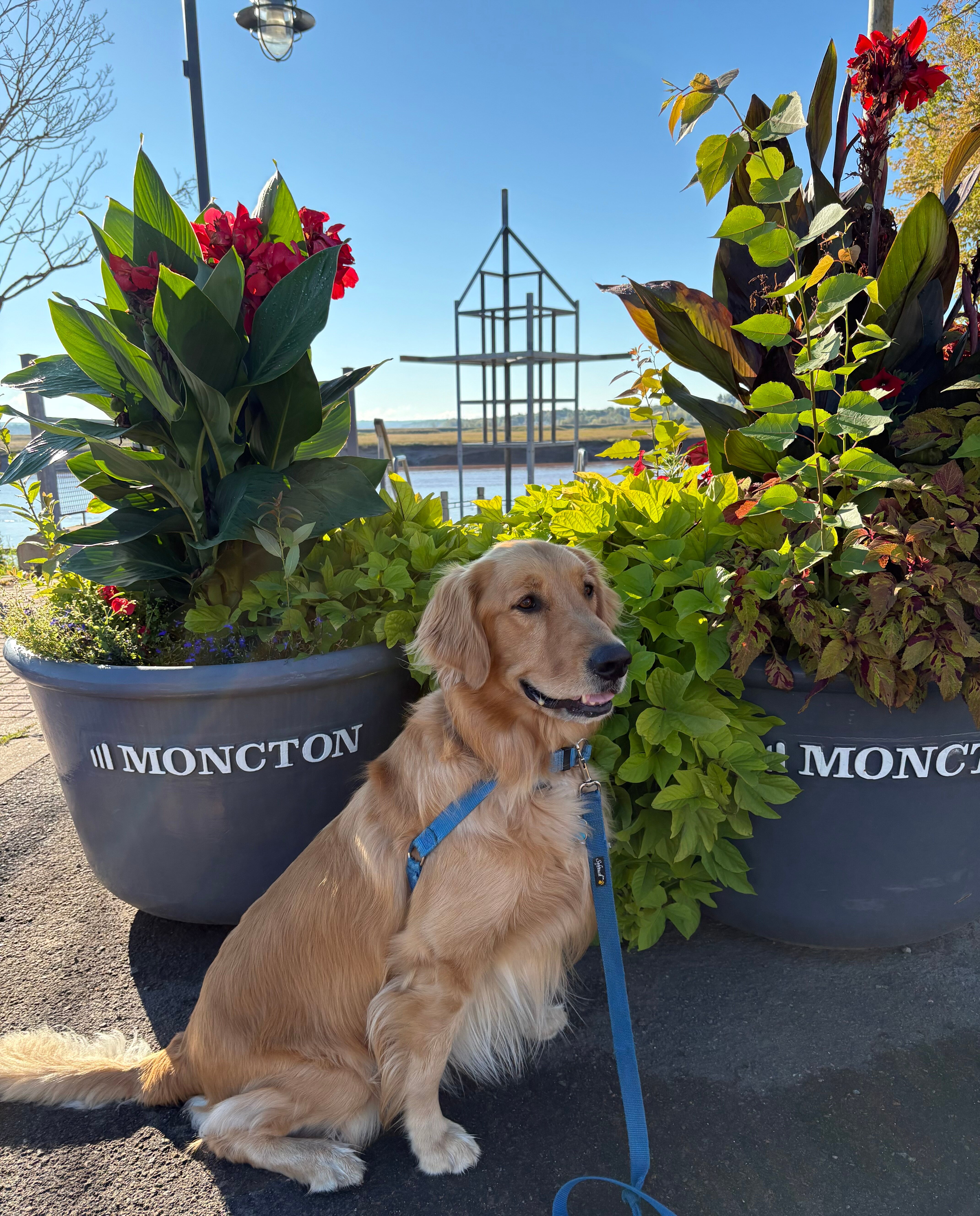 罗德蒙克顿酒店-官方