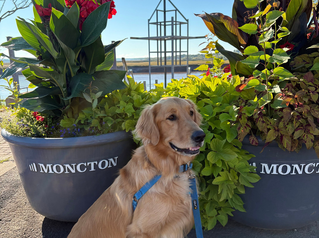 罗德蒙克顿酒店主图