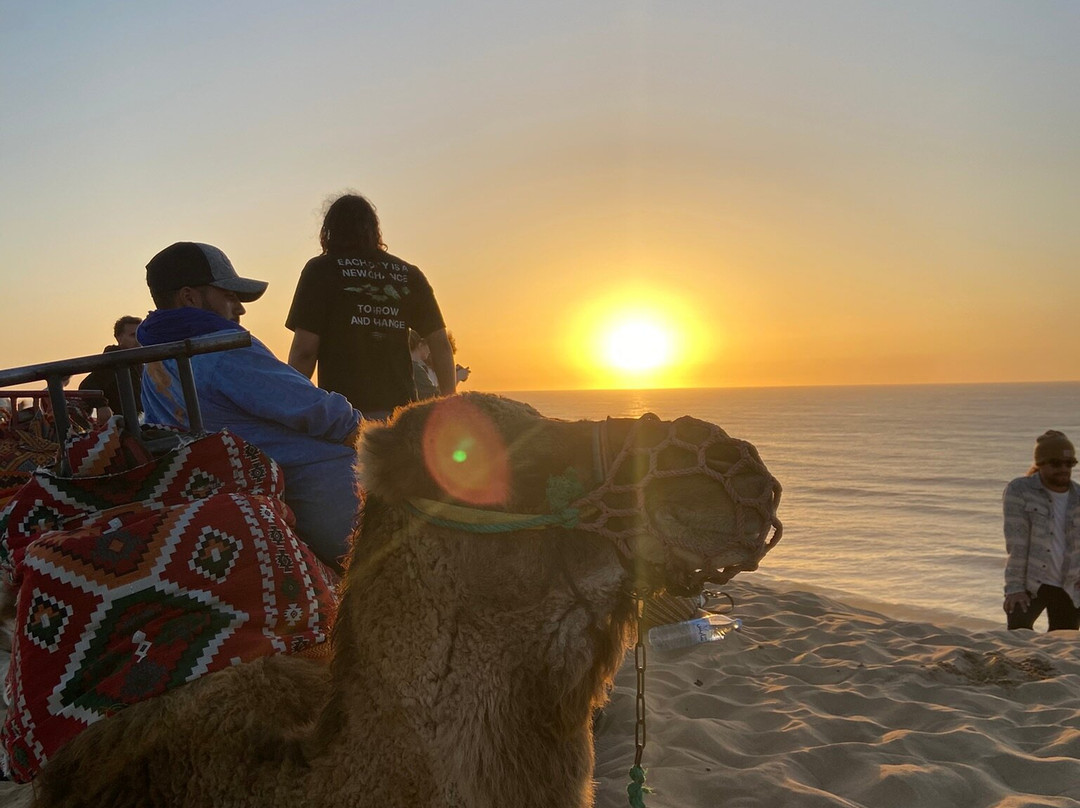 Doda Surf Morocco-Tamraght必去景点