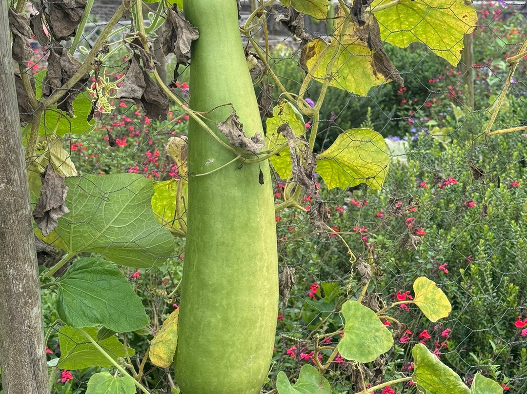 Parc Du Château-坡市必去景点