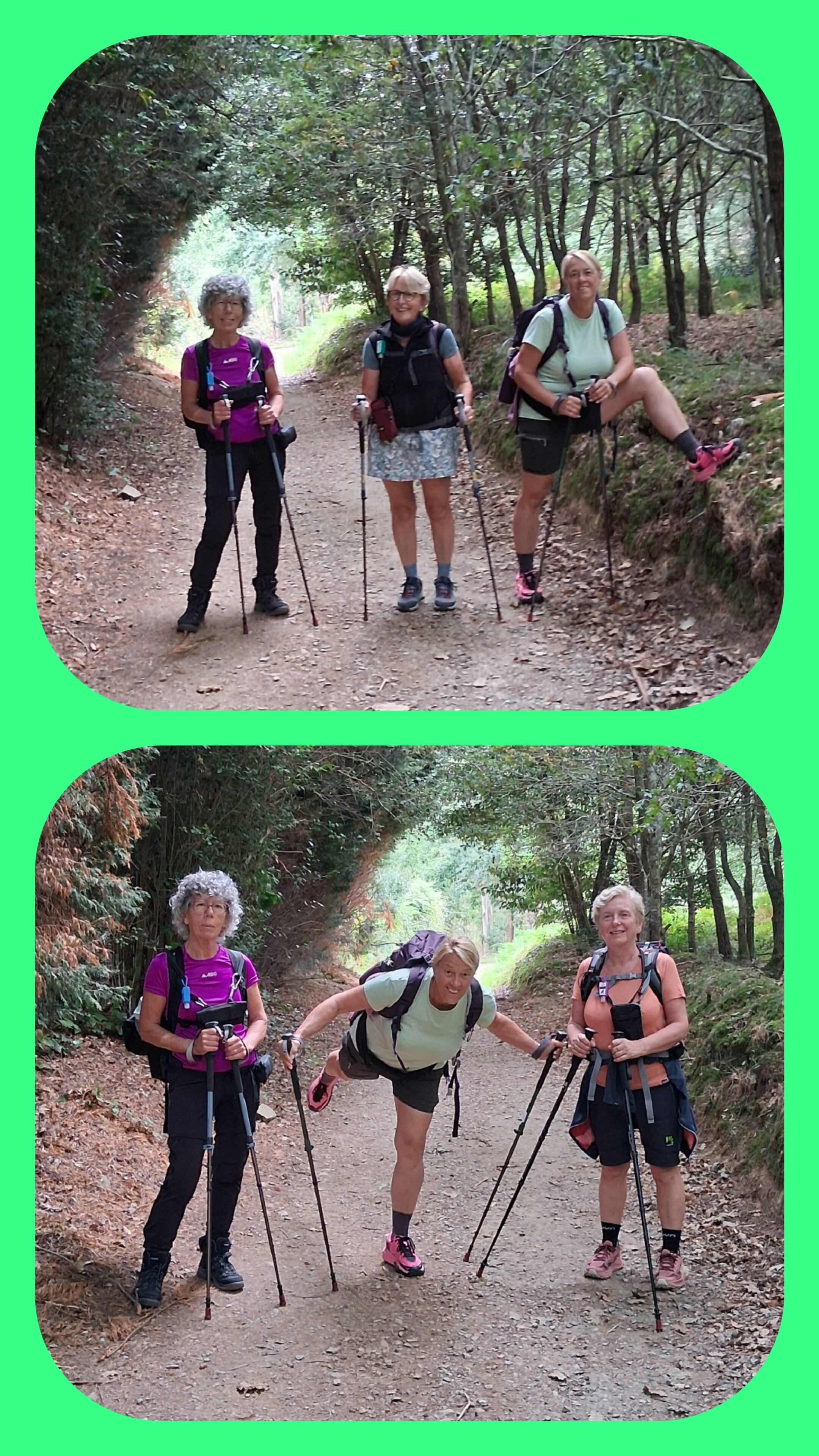 Mesón Novo Pensión Residencial-官方