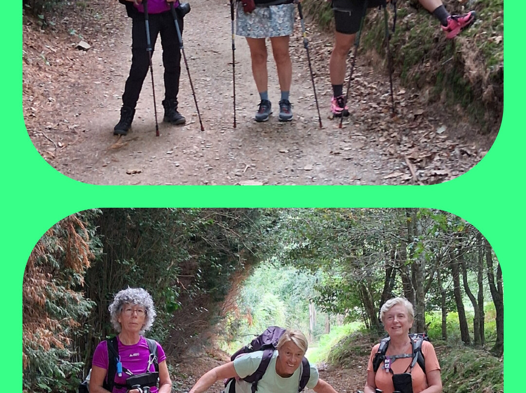 Mesón Novo Pensión Residencial主图