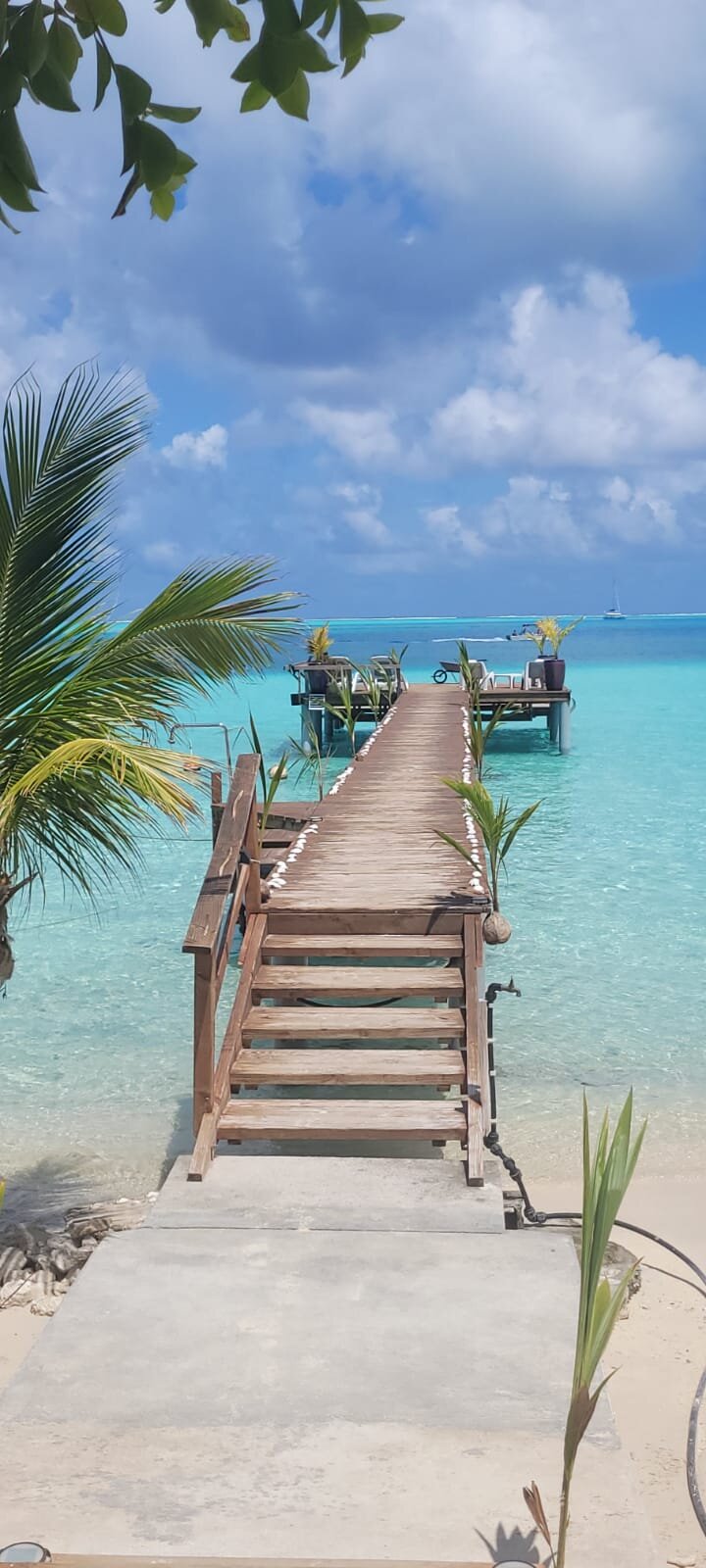 Pension Papahani-泳池