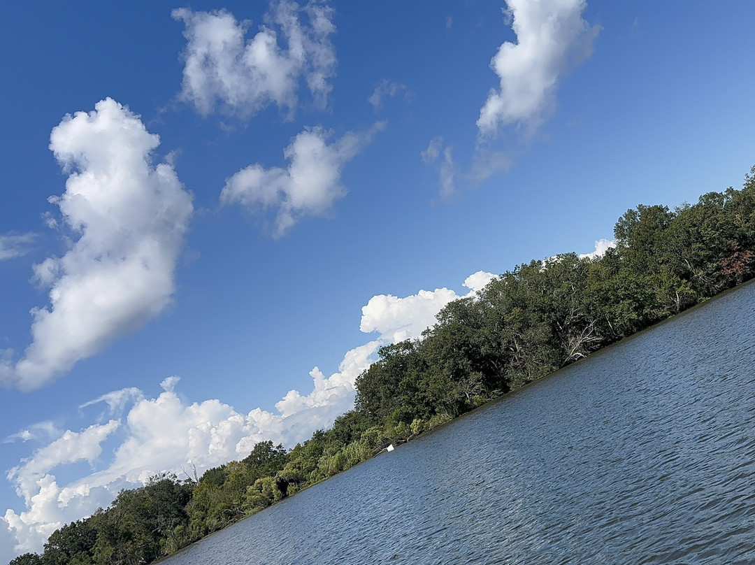 Louisiana Tour Company-Crown Point必去景点