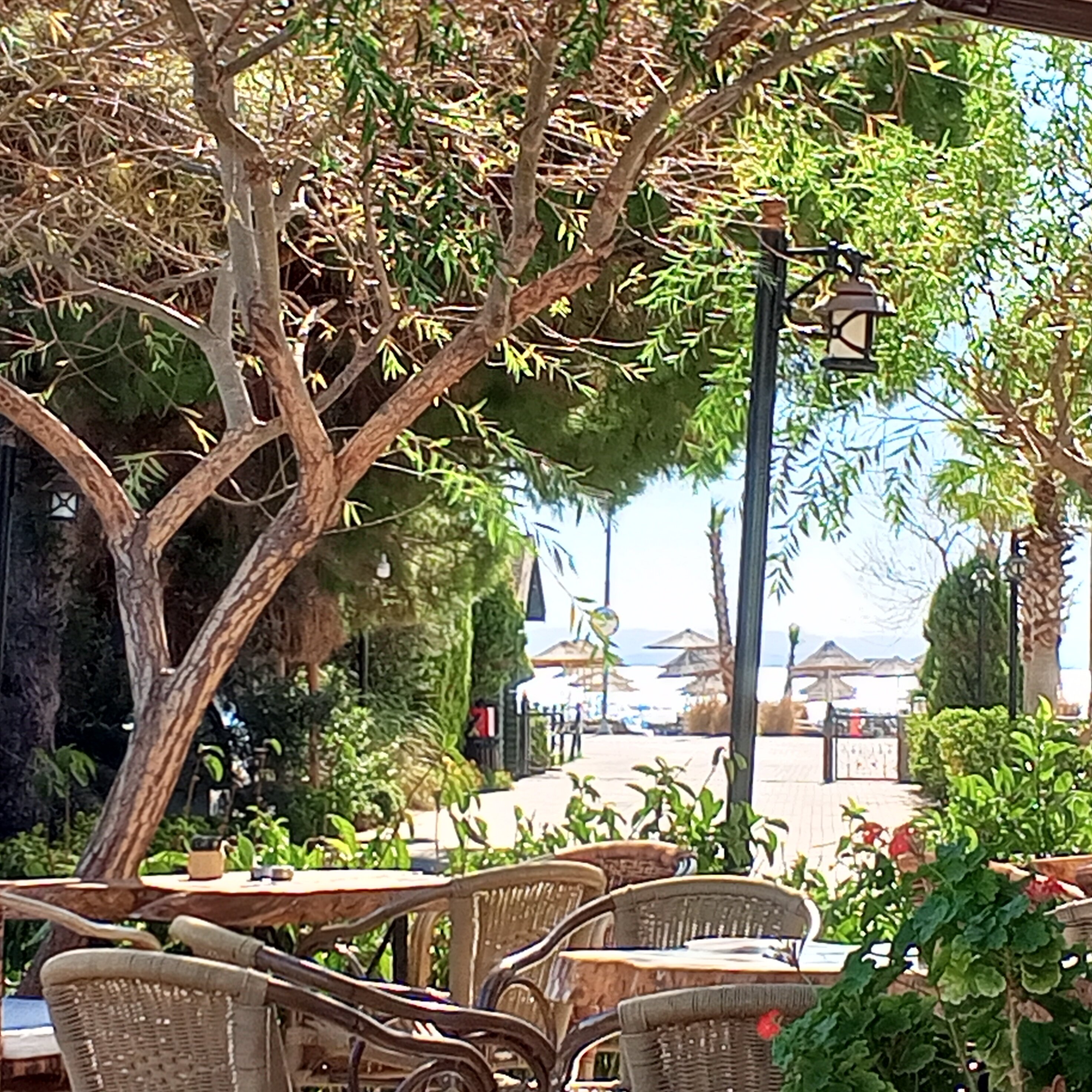 Assos Barbarossa Hotel-官方