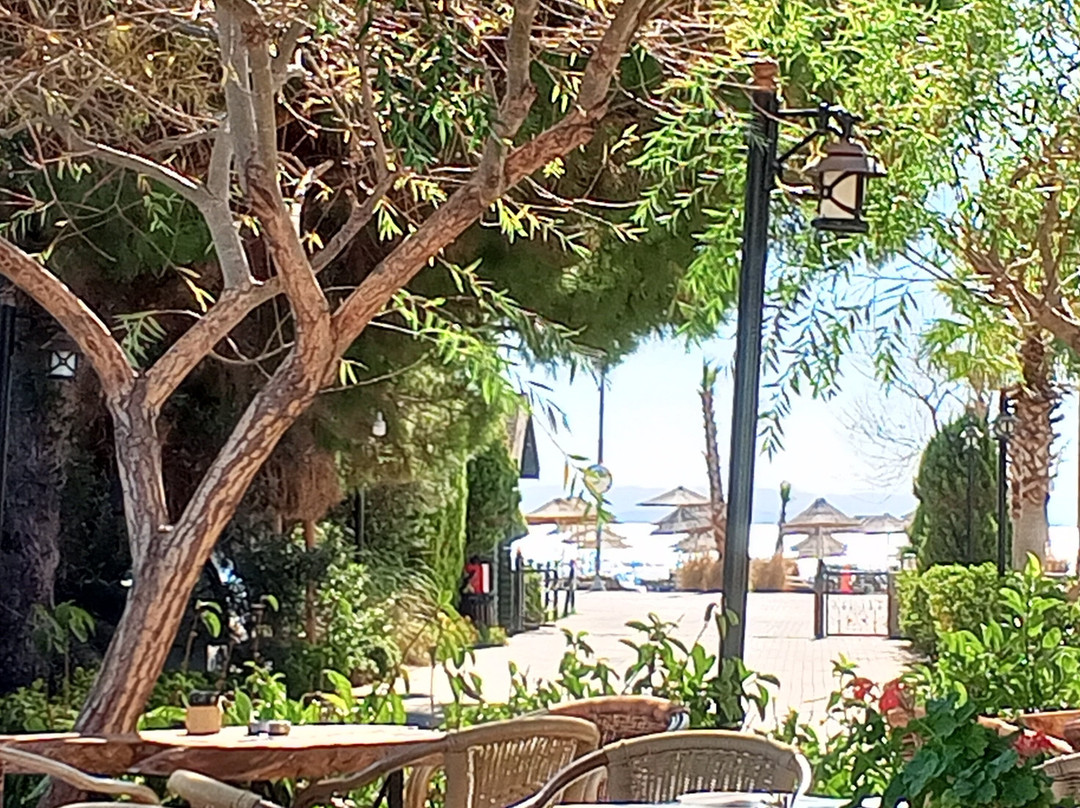 Assos Barbarossa Hotel主图