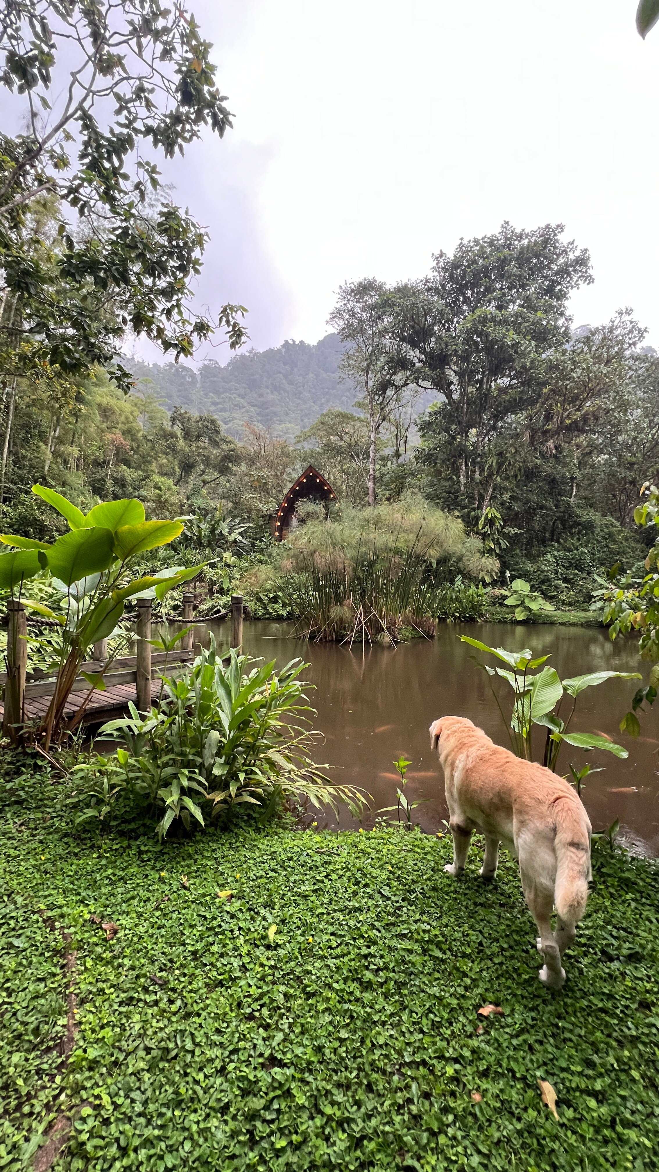 Sacha Urco Lodge y Bosque Protector-浴室