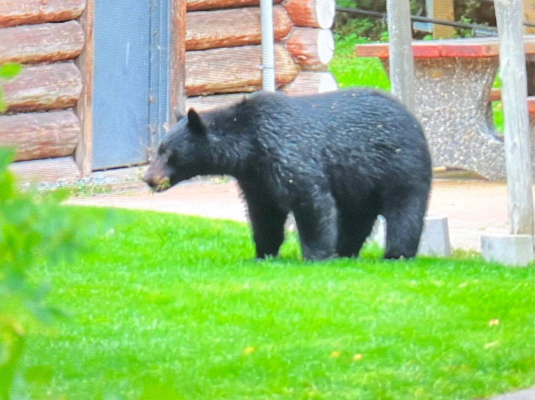 Rainbow Park-惠斯勒必去景点