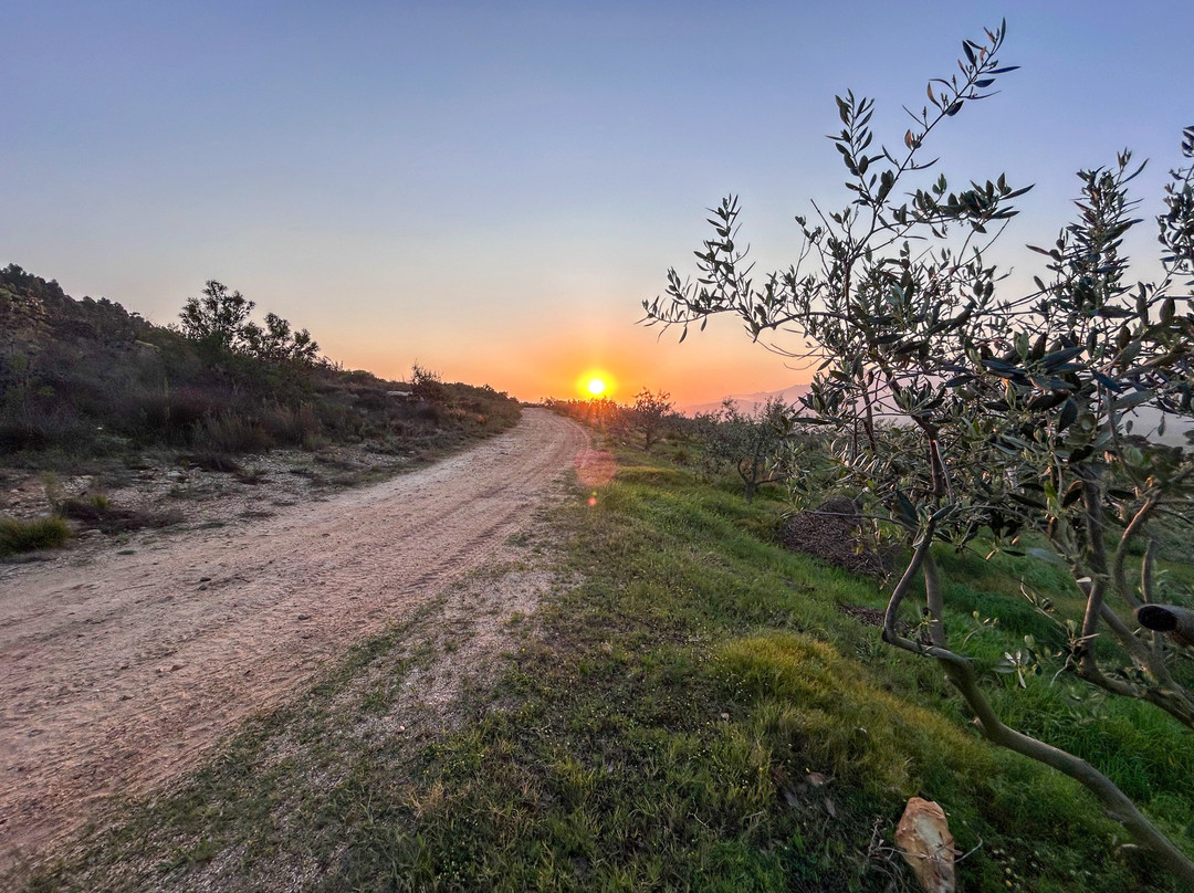 Blue Mountain Trail-Botrivier必去景点