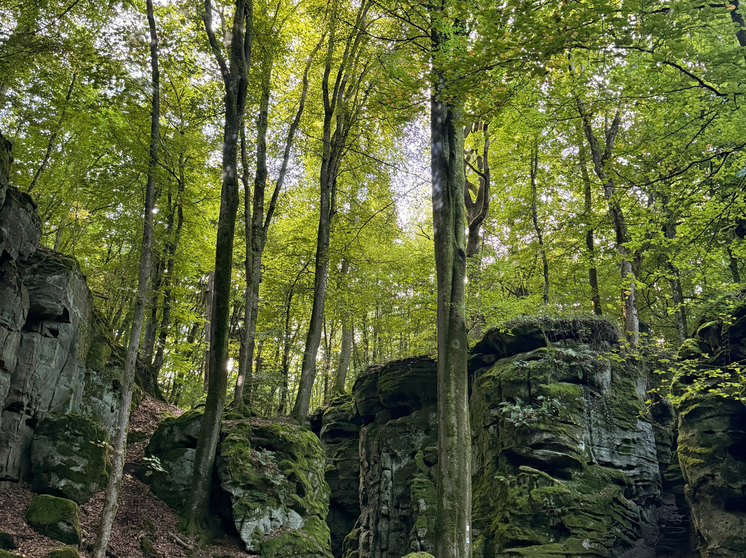 Naturparkzentrum Teufelsschlucht-Ernzen必去景点