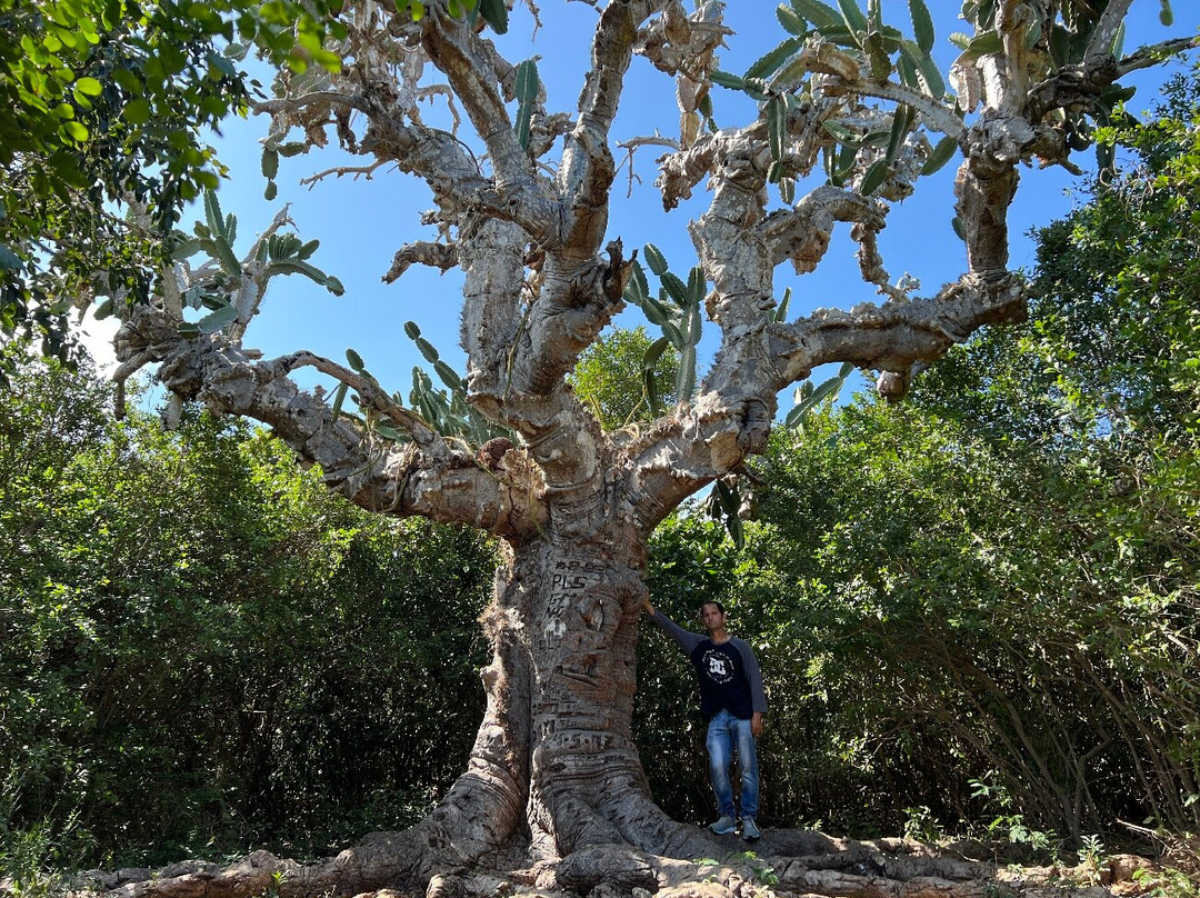 Varahicacos Ecological Reserve-巴拉德罗必去景点