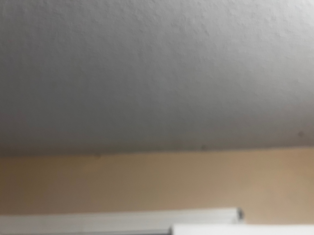 Whitefield酒店住宿-Cabot Inn & Suites