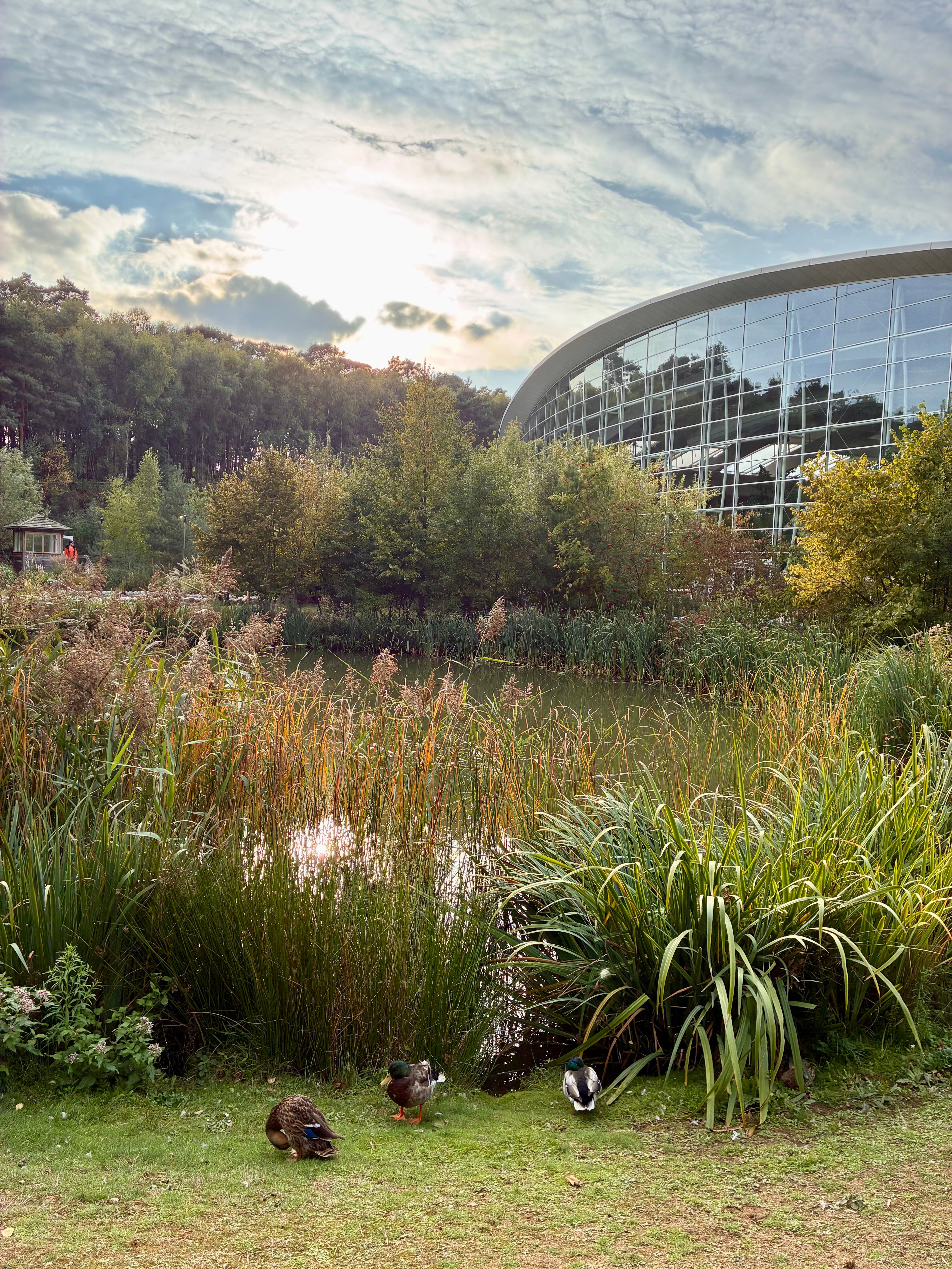 Center Parcs Woburn Forest-浴室