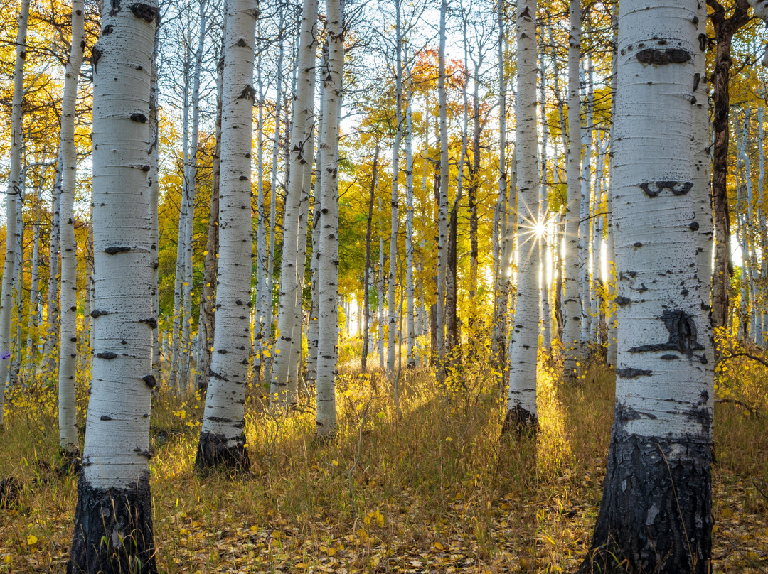 Action Photo Tours-卡纳布必去景点