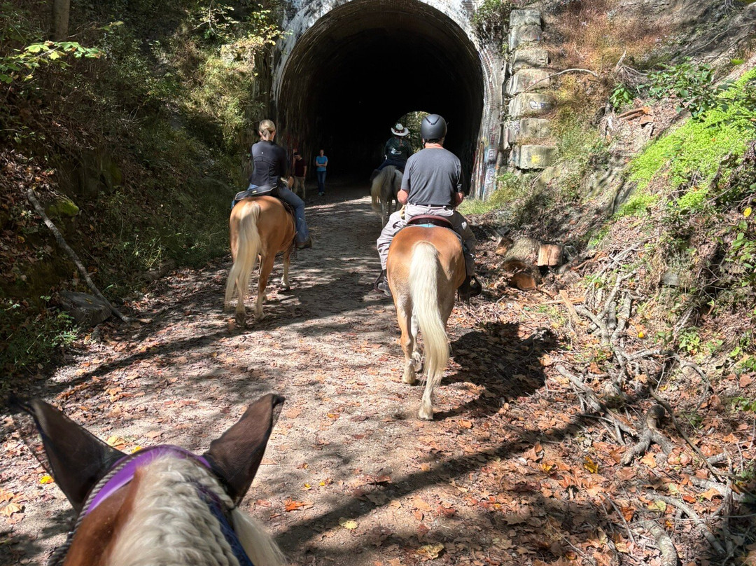 Uncle Buck's Riding Stable-New Marshfield必去景点