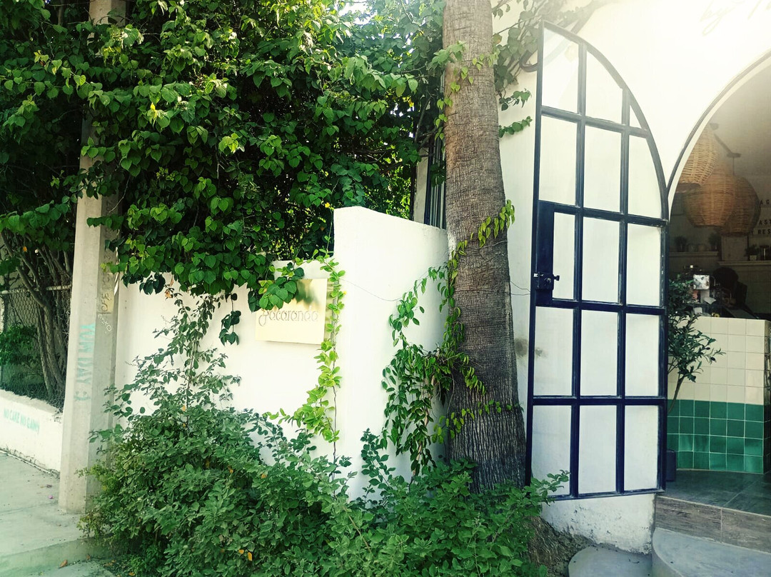 Jacaranda Restaurante Y Jardin