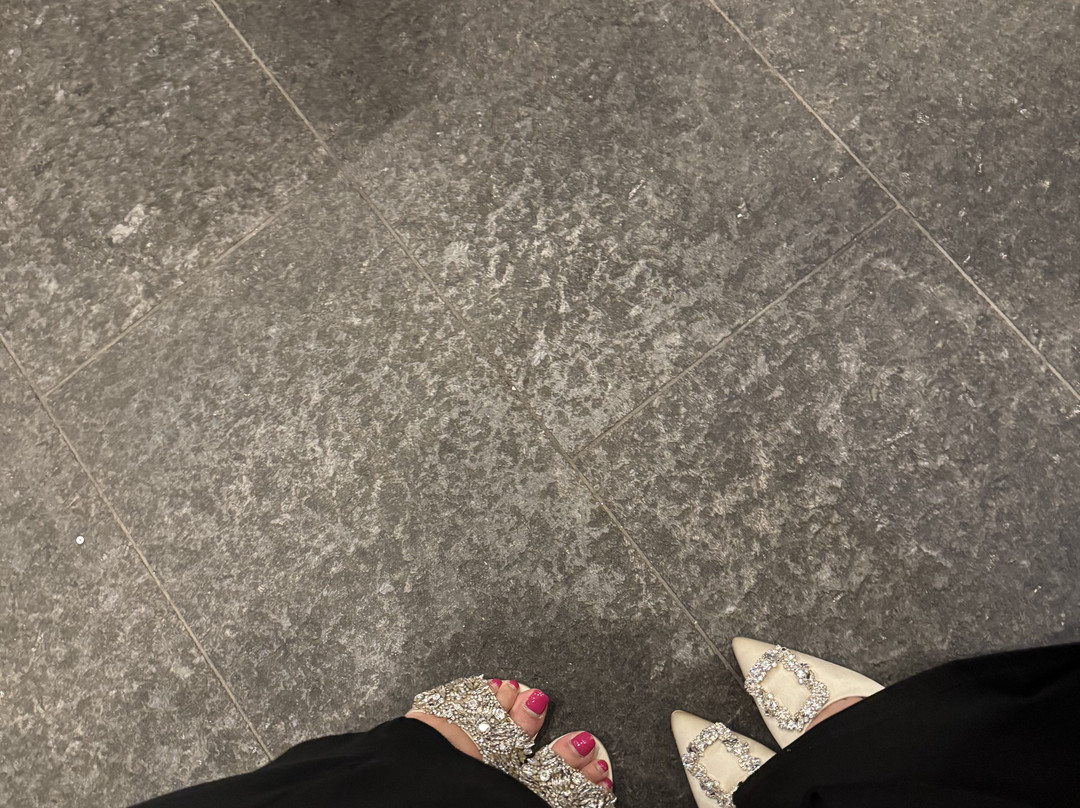 Bruce Museum-格林尼治必去景点