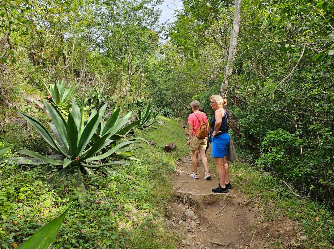 Parque el Cubano-特立尼达必去景点