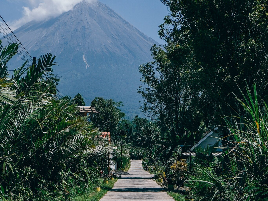 Private Driver Surabaya - Day Tours And Travel Guide-泗水必去景点