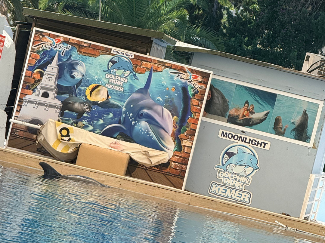 Kemer Dolfin Park-凯梅尔必去景点